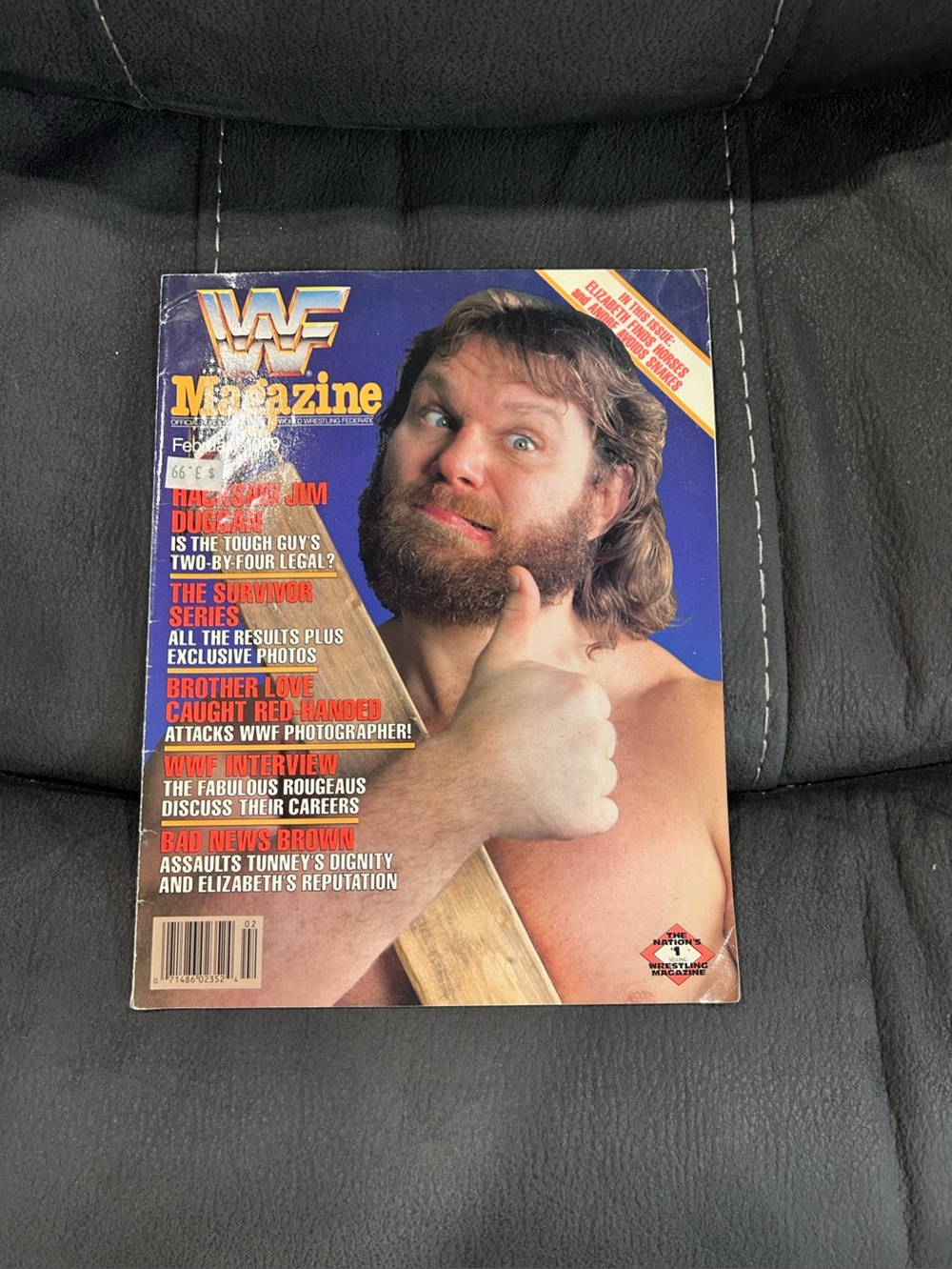 WWF magazine-February 1989